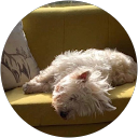 Tabby Hyndman profile picture
